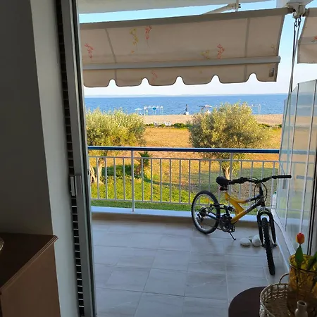Tropico House