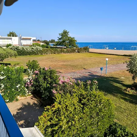 Tropico House Hébergement de vacances