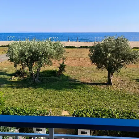 Tropico House Tatil Evi *