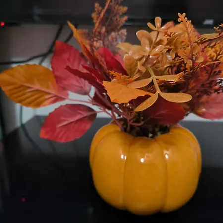 Tatil Evi Tropico House *